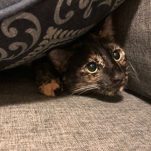 Meet your Posher, Jillian